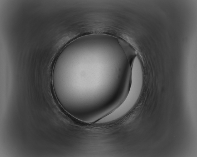 X0000086990673200705071437