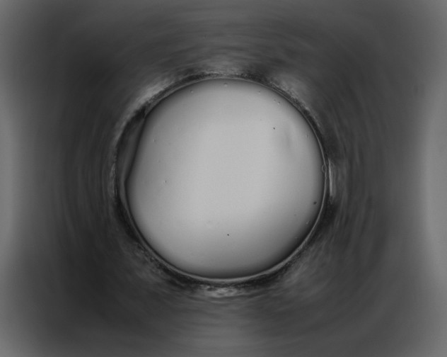 X0000086990675200705071437