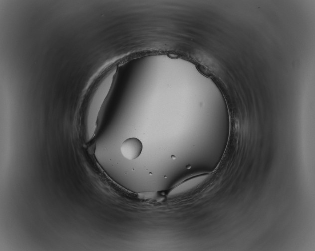 X0000086990676200705071437