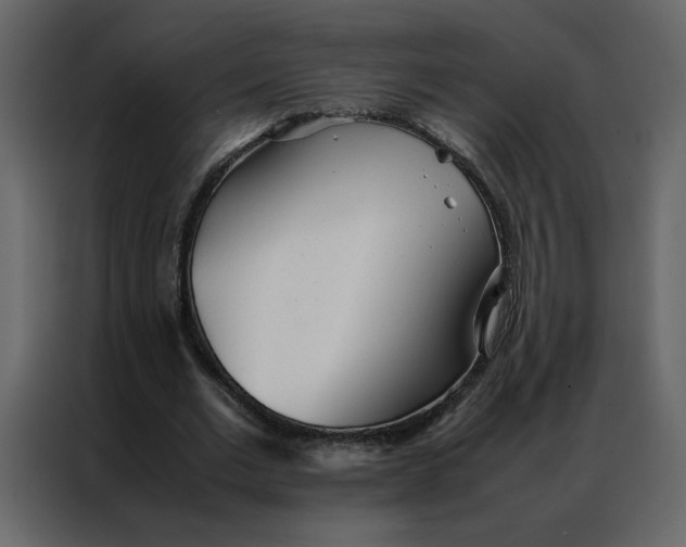 X0000086990677200705071437