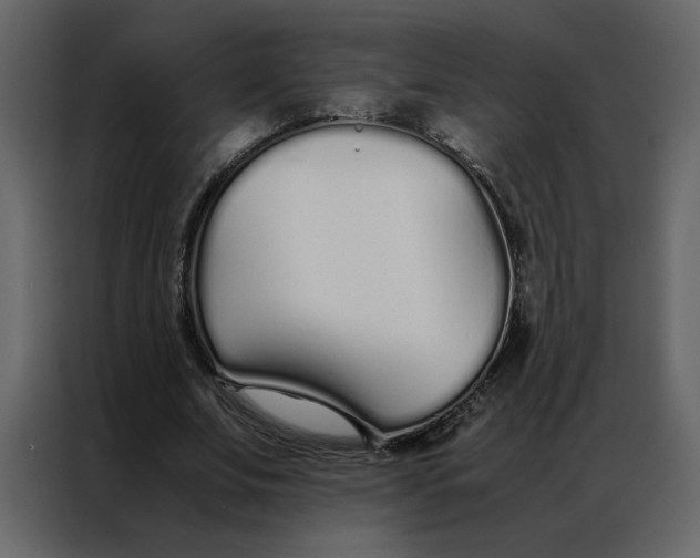 X0000086990679200705071437