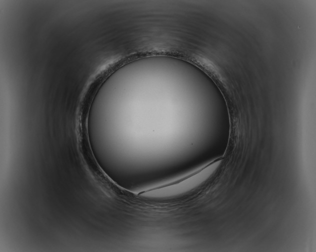 X0000086990680200705071437