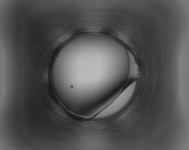 X0000086990681200705071437