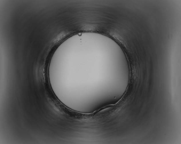 X0000086990682200705071437