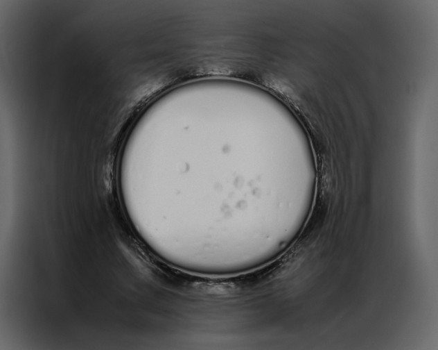 X0000086990683200705071437