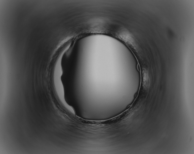 X0000086990684200705071437