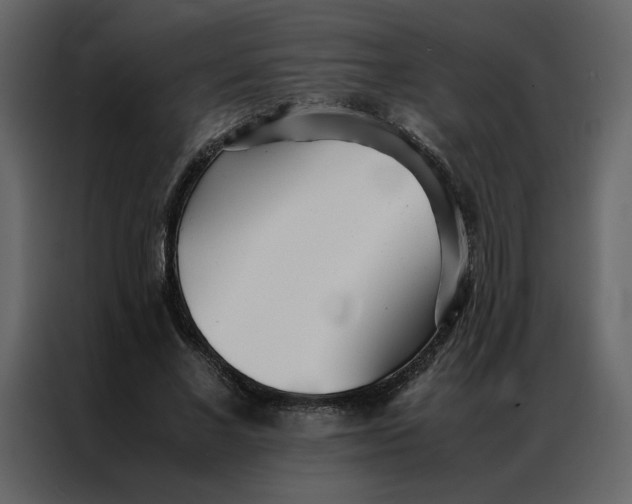 X0000086990685200705071437