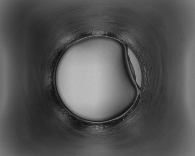 X0000086990687200705071437