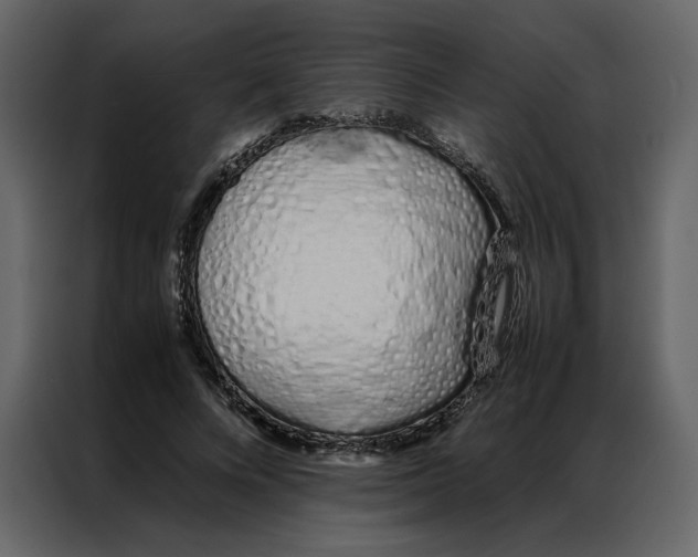 X0000086990688200705071437