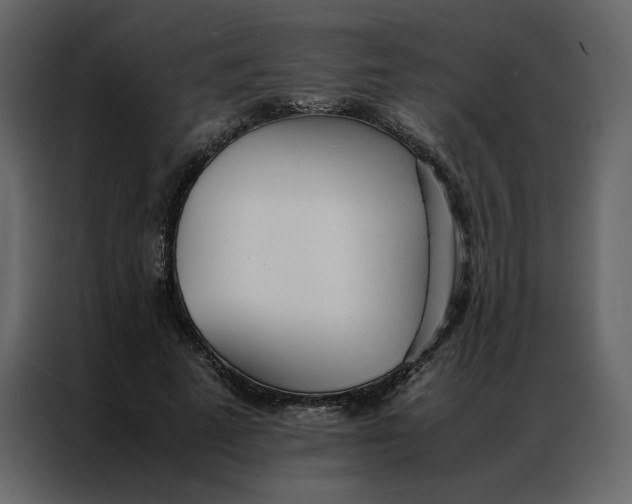 X0000086990689200705071437