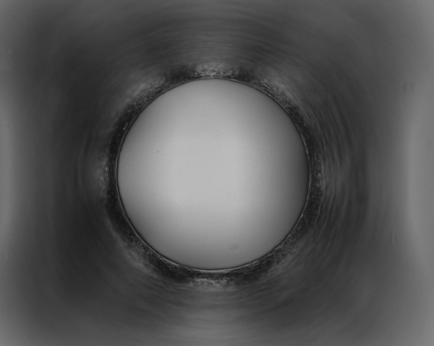 X0000086990690200705071437