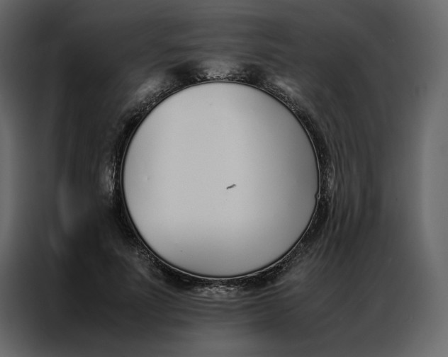 X0000086990691200705071437