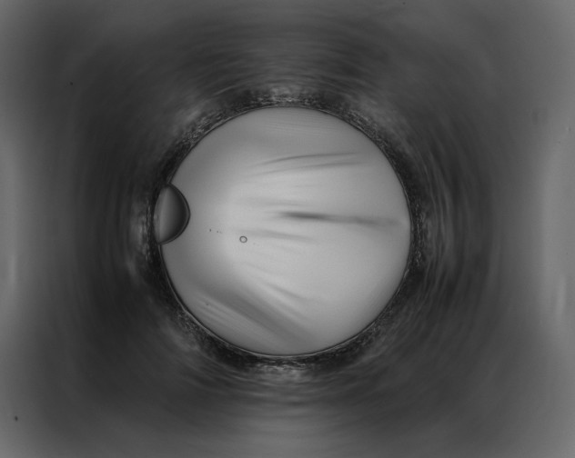 X0000086990698200705071437