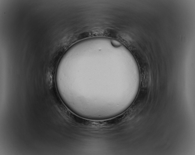 X0000086990703200705071437