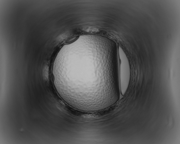 X0000086990704200705071437