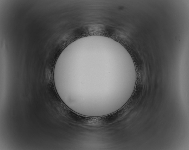 X0000086990705200705071437