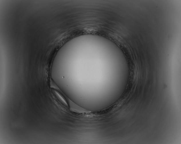 X0000086990710200705071437