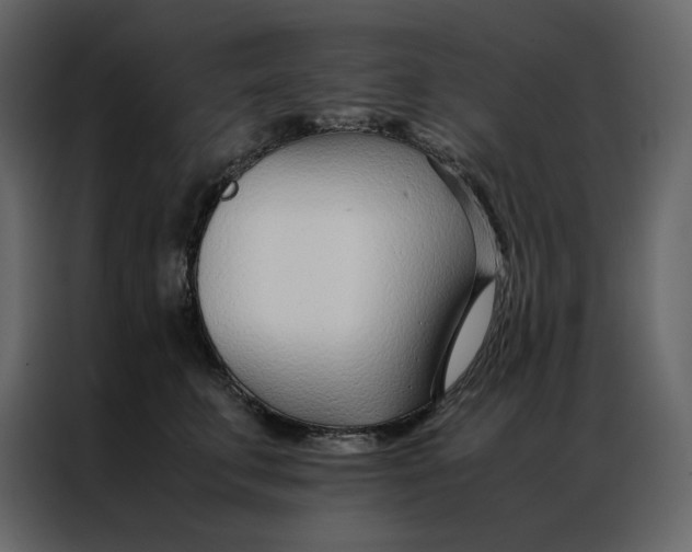 X0000086990711200705071437