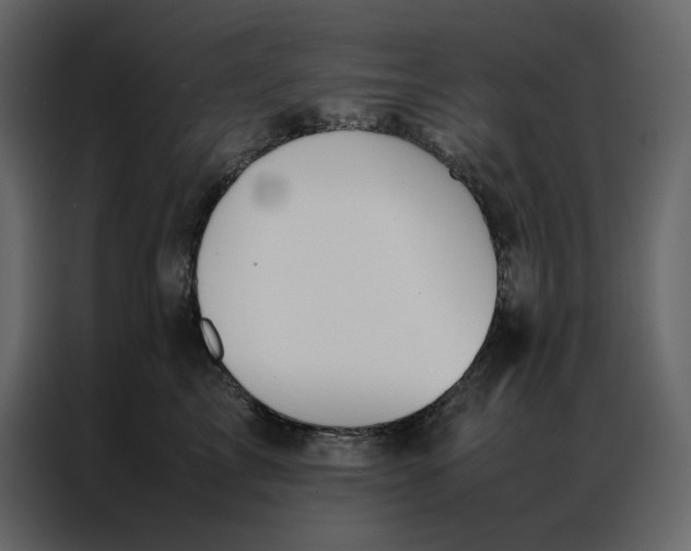 X0000086990713200705071436