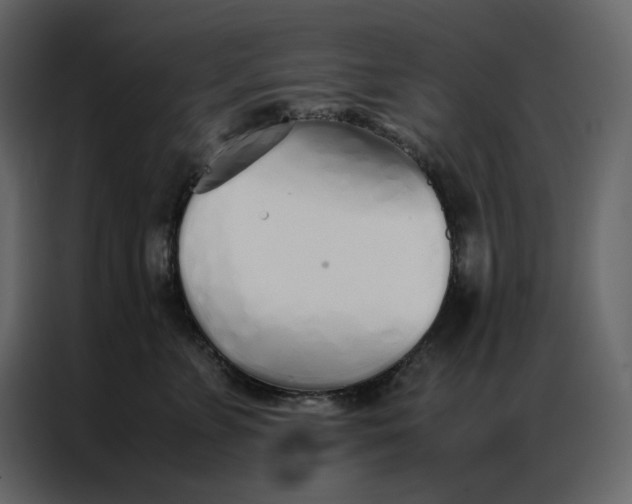 X0000086990715200705071436