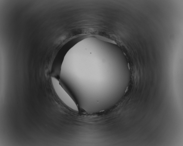 X0000086990716200705071436