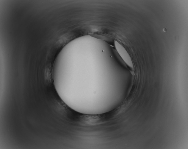 X0000086990719200705071436