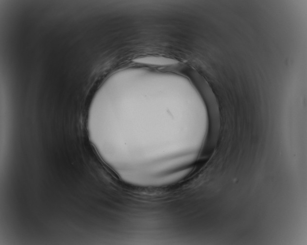 X0000086990720200705071436