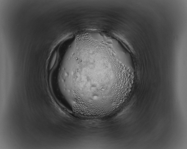 X0000086990721200705071436