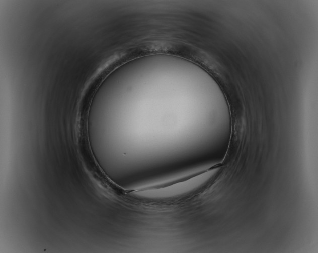 X0000086990722200705071436