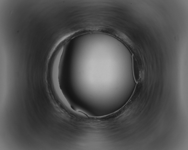 X0000086990724200705071436