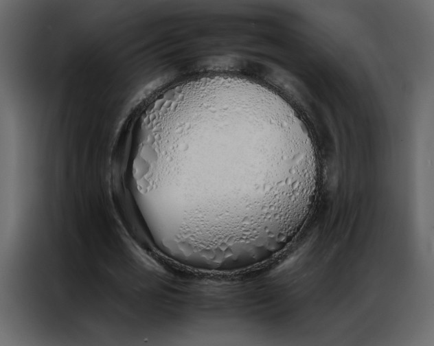 X0000086990725200705071436