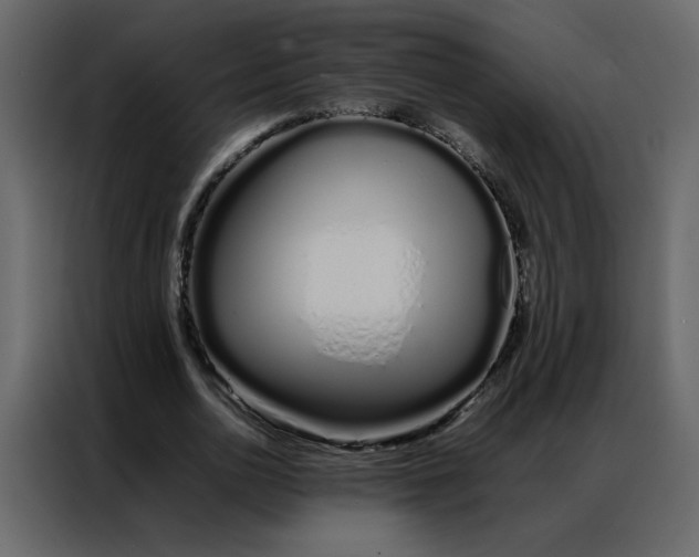 X0000086990726200705071436