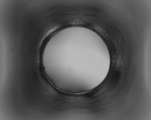 X0000086990727200705071436