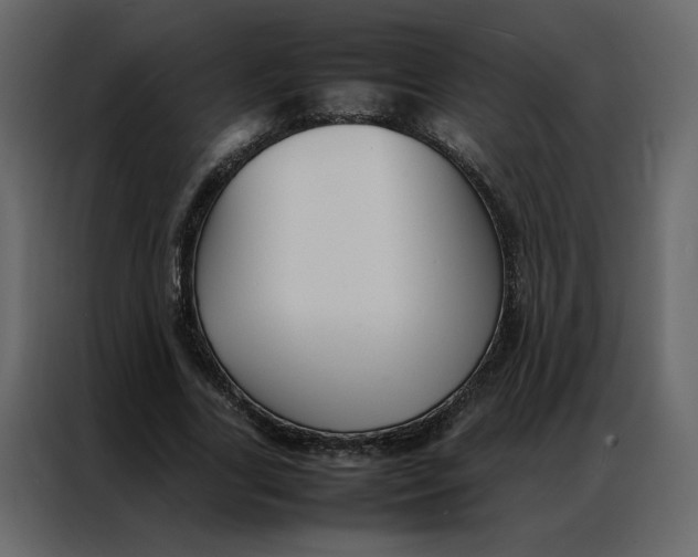 X0000086990731200705071436