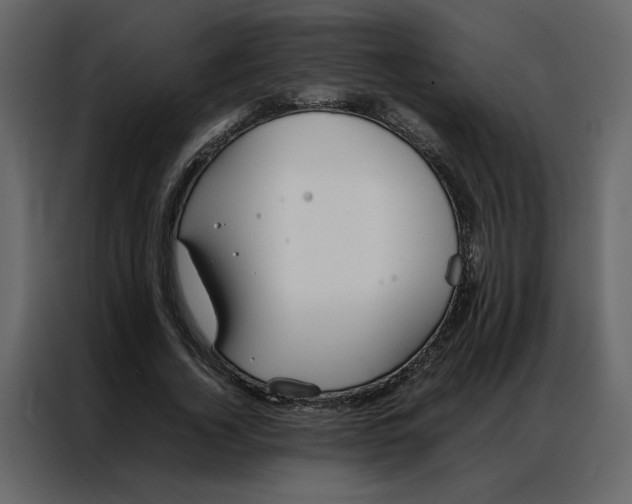 X0000086990732200705071436