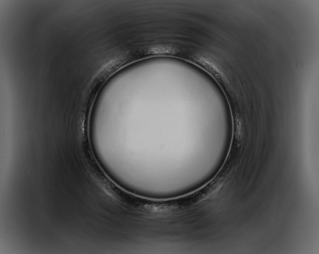 X0000086990733200705071436