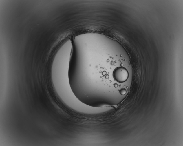 X0000086990734200705071436