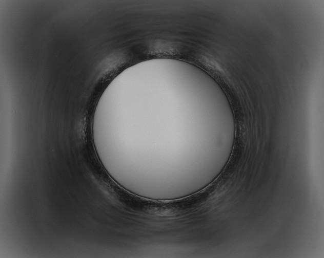 X0000086990735200705071436