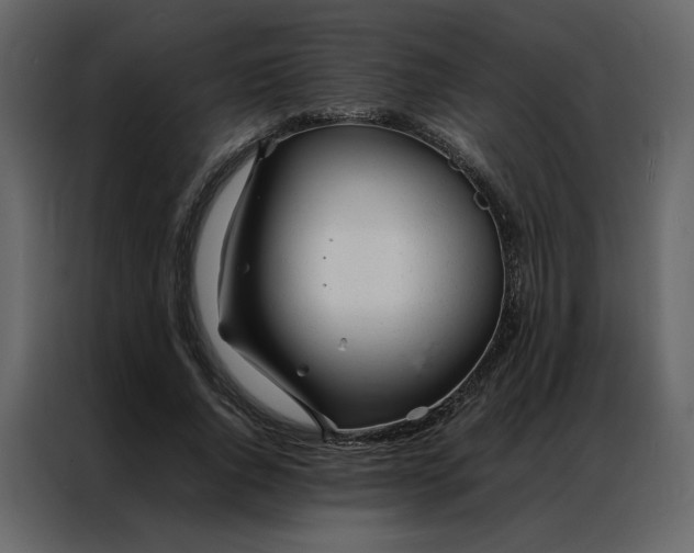 X0000086990736200705071436