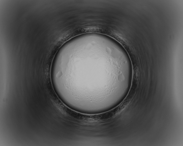 X0000086990737200705071436