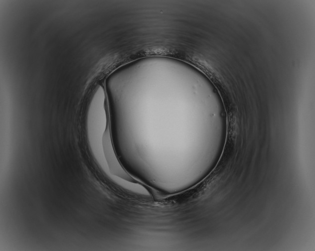 X0000086990738200705071436