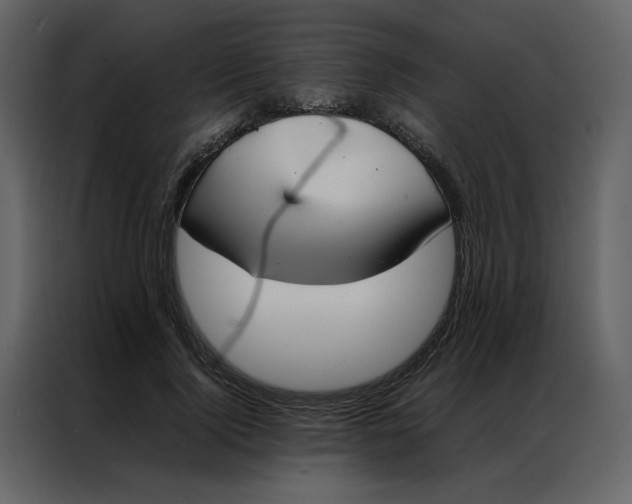 X0000086990740200705071436