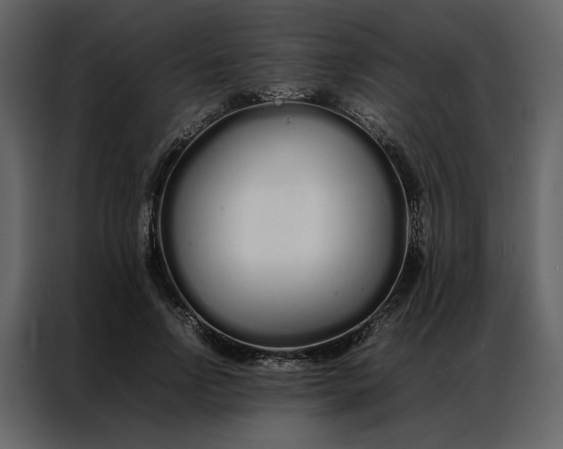 X0000086990742200705071436