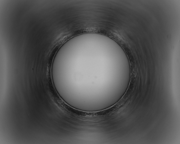 X0000086990744200705071436