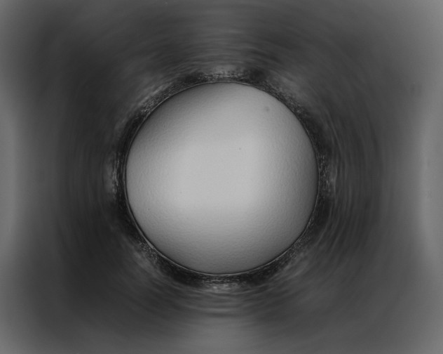 X0000086990746200705071436