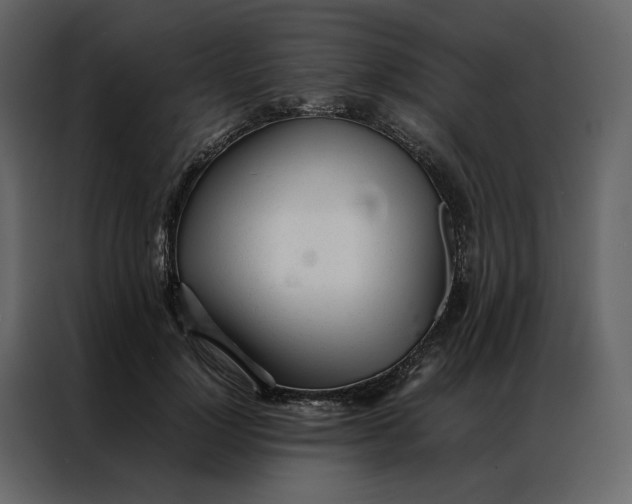 X0000086990748200705071436