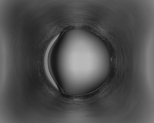 X0000086990750200705071436