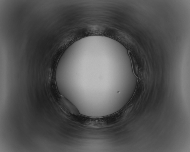 X0000086990752200705071436