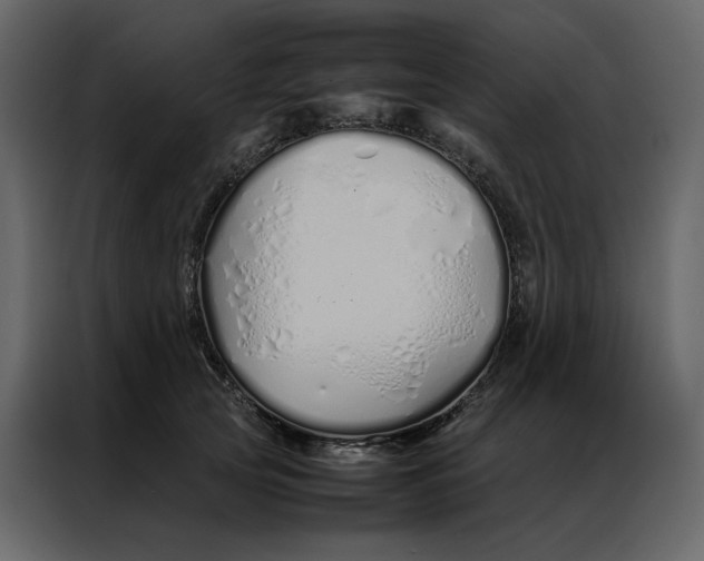 X0000086990753200705071436