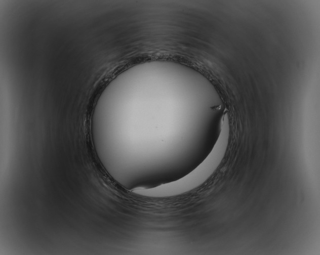 X0000086990756200705071436